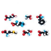 Aminorūgščių molekulinė struktūra (8 modeliai)